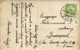 1914 Budapest XVII. Rákoshegy, Keresztesi Károly és családja. photo (Rb)