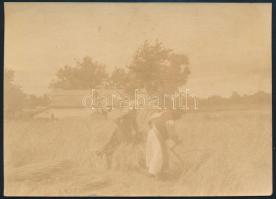 cca 1910 Kaszálók, fotó, 8×11 cm