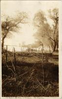 Fils du fer barbelés en bordure du Vardar / WWI military, barbed wire fence along the Vardar river. photo