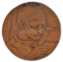 ~1970. 20 éves Fejér megyei közoktatási munkáért egyoldalas bronz érem eredeti műanyag tokban. Szign.: NB (86mm) T:2 patina
