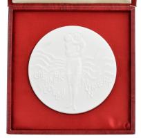 DN "Gyermekvédelmi munkáért" egyoldalas porcelán érdemérem, hátoldalán "Tamás Ákos He...