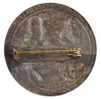 DN "I. Ferdinánd" ezüstözött bronz kitűző az 1541-es évjáratú "Schauthaler" elől...