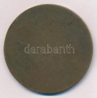 1937. "III. Kerület Torna és Vívó Egylet 1887-1937" egyoldalas bronz emlékérem "HAWEL...