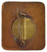 ~1970-1980. "Szikra Lapnyomda" zománcozott jelvény (20x18mm) T:1-