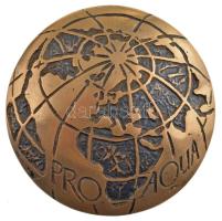 Kutas László (1936-) "Magyar Hidrológiai Társaság 1917 / Pro Aqua" kétoldalas bronz emléké...