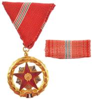 1957. "Kiváló Szolgálatért Érdemérem" aranyozott, zománcozott kitüntetés, mellszalagon, er...