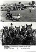 38db eredeti nagyméretű magyar fekete-fehér fotó az MTI Foto archívumából