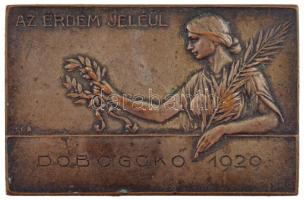 1929. Az érdem jeléül - Dobogókő 1929 ezüstözött bronz plakett S.G.A. gyártói jelzéssel (57x37mm) T:2,2- ph.