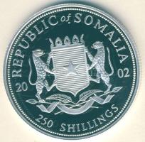 Szomália 2002. 250Sh Ag "Mayflower, hajó" T:PP