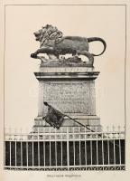 Németh Béla: Szigetvár története. Biedermann Rezső báró megbízásából és nagylelkűségéből írta: - -. ...