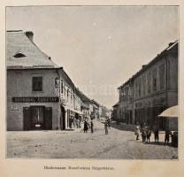 Németh Béla: Szigetvár története. Biedermann Rezső báró megbízásából és nagylelkűségéből írta: - -. ...