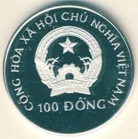 Vietnam 1993. 100D Ag "Őslények-Rhamphorhynchus" T:PP