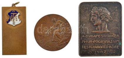 ~1910. III. Kerületi TVE kétoldalas bronz emlékérem zománcozott klubcímerrel, füllel (20x40mm) + ~1930. Az Óbudai Tornaegylet Verseny Díja - Erő Épség Egyetértés 1872 Br sport díjérem füllel (30mm) + 1902. A budapesti III. ker. M. Kir. Főgimnázium Testgyakorló Köre - 1902 ezüstözött bronz plakett (35x44mm) T:1-,2 HP 1411