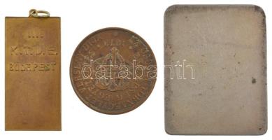 ~1910. "III. Kerületi TVE" kétoldalas bronz emlékérem zománcozott klubcímerrel, füllel (20...