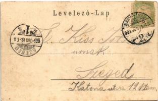 1902 Félixfürdő, Baile Felix; fürdő. Sonnenwirth M. és Társa kiadása / spa, bath (EK)