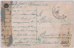 Pöstyén, Pistyan, Piestany; Park részlet. Vasúti levelezőlapárusítás 61. sz. / park (ragasztónyom / ...