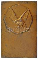 1925. "Békessy Béla Emlék Verseny - I. díj" kétoldalas, jelzett, aranyozott Ag díjplakett,...