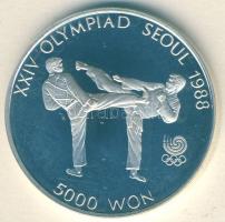 Dél-Korea 1987. 5000W Ag "Szöuli olimpia - Tae Kwon Do" T:PP