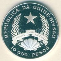 Guinea-Bissau 1993. 10.000P Ag "Stegosaurus" T:PP
