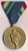 1954. 1954. évi Dunai Árvízvédelemért aranyozott Br kitüntetés mellszalagon T:1-
