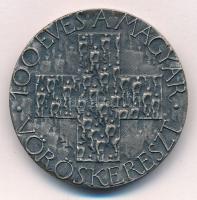 Asszonyi Tamás (1942-) 1981. "1881-1981 / 100 éves a Magyar Vöröskereszt" ezüstözött fém e...