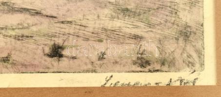 Olvashatatlan jelzéssel: Szántás. Színezett rézkarc, papír. Üvegezett keretben, 13,5x18,5 cm