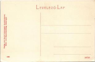 Szászrégen, Reghin; Evangélikus gimnázium, M. kir. dohány és só árulás üzlet. Rudolf Burghardt kiadá...