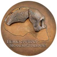 Lapis András (1942-) DN Homo Sapiens Neanderthalensis / Bartucz Lajos 1885-1960 nagyméretű, kétoldalas bronz plakett. Előlapon a Neandervölgyi ember koponyájának körvonalai, rajta rátétként a koponya két darabja külön kidolgozva. (204mm) T:1-,2 ph., az egyik koponyadarabnál a ragasztás elengedett