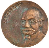 DN D.ro. L. L. Zamenhof szemészorvos, filológus, az eszperantó nyelv, egyoldalas, öntött bronz plakett T:2 patina