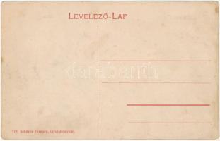 Gyulafehérvár, Alba Iulia; Közvágóhíd. Schäser Ferenc 778. / slaughterhouse (EK)