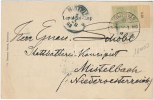 1903 Temesvár, Timisoara; Katonai Gyakorló tér. Uhrmann Henrik kiadása / K.u.k. military training fi...