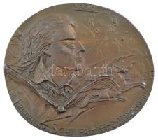 Németország 2005. "Friedrich von Schiller" kétoldalas fém plakett. Szign.: G (96x108mm) T:2 Germany 2005. "Friedrich von Schiller" double sided metal plaque. Sign.: G (96x108mm) C:XF