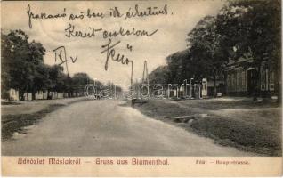 1909 Máslak, Masloc, Blumenthal; Fő út. Zeitler Lajos kiadása / Hauptstrasse / main street