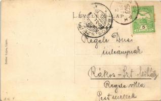 1909 Máslak, Masloc, Blumenthal; Fő út. Zeitler Lajos kiadása / Hauptstrasse / main street