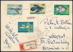 1962