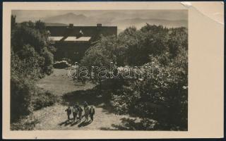1955