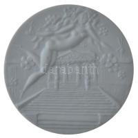 NDK DN Schwerini múzeuzm 100 éves kétoldalas kerámia emlékérem Meisseni Porcelánmanufaktúra gyártói jelzésével (59mm) T:1 GDR ND. Schwerin Museum two-sided ceramic medallion with mark of the Porcelain Manufactory of Meissen (59mm) C:UNC