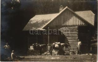 Aranyosfő, Scarisoara; menedékház / rest house. photo (ragasztónyom / gluemark)