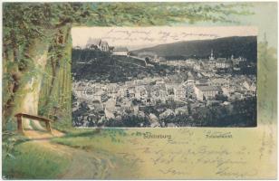 1902 Segesvár, Schässburg, Sighisoara; Totalansicht / látkép. Fritz Teutsch kiadása. Szecessziós litho keret / general view. Art Nouveau, litho frame (fl)