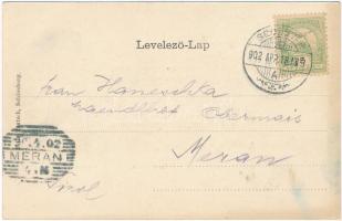 1902 Segesvár, Schässburg, Sighisoara; Totalansicht / látkép. Fritz Teutsch kiadása. Szecessziós lit...