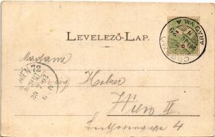 1903 Csermő, Cermei; Községháza és jegyzői lak. Holländer Sámuel kiadása / town hall, notary's ...