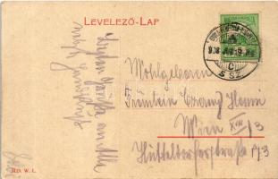 1908 Marosillye, Ilia; Fő utca. W. L. 3119. / main street + "GYULA-FEHÉRVÁR - BUDAPEST 5. SZ. C...