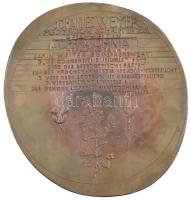 Németország 2008. "Johann Weyer halálának 420. évfordulójára" kétoldalas fém plakett. Szig...