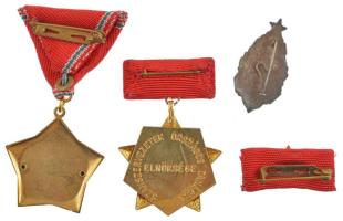 ~1970-1980. "Szakszervezetek Országos Tanácsa Elnöksége" arany fokozatú, műgyantás kitünte...