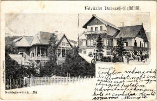 1907 Borszék, Borsec; Nefelejts villa, Posta villa / villas (EK)