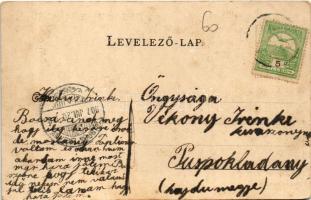 1907 Borszék, Borsec; Nefelejts villa, Posta villa / villas (EK)