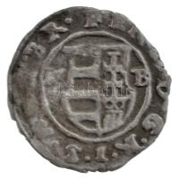 1636K-B Denár Ag "II. Ferdinánd" (0,46g) T:2 patina
Hungary 1636K-B Denar Ag "Ferdin...