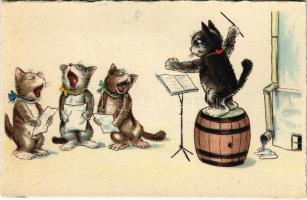 Macska kórus / Cat choir. WSSB 9753.