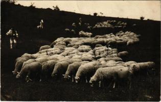 Tarcadobó, Tarca-Dobó, Dubovica; Dobó juhgazdaság angol és francia nyelvű reklám képeslapja - A Dobay brindza a világ legfinomabb és leglágyabb sajtja / sheep farm's English and French language advertisement, bryndza cheese (EK)