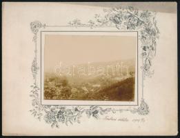 cca 1904 Fraknó vidéke, kartonra kasírozott fotó, 8×11 cm, karton: 17×21 cm / Umgebung von Forchtenau